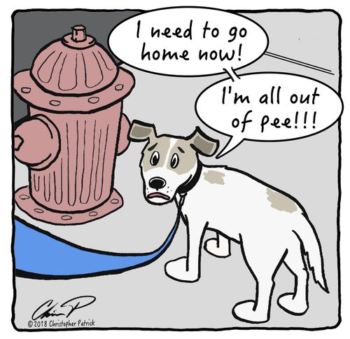 "I need to go home now! I'm all out of pee!"
