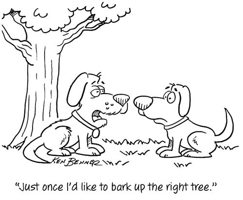 "Just one I'd like to bark up the right tree."