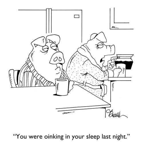 "You were oinking in your sleep last night."