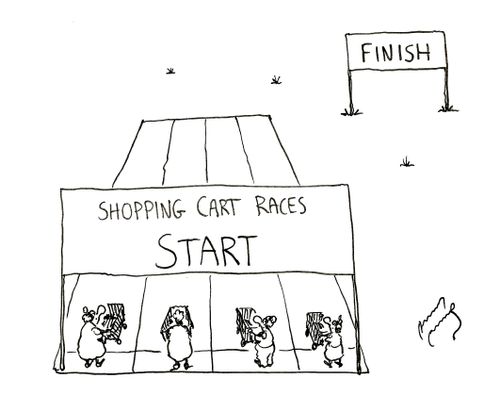 Shopping Cart Races