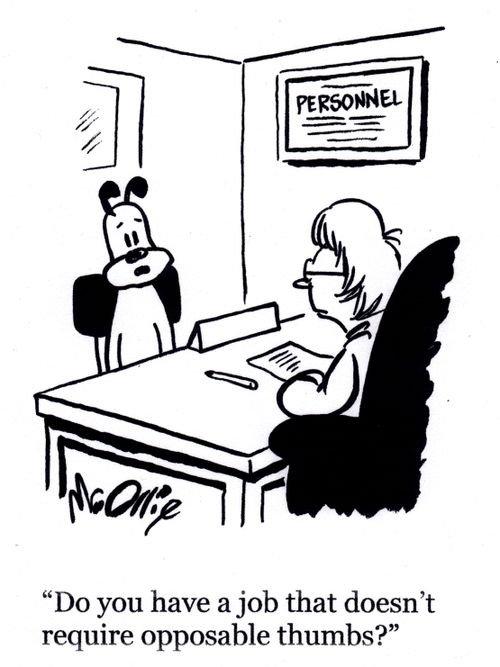 "Do you have a job that doesn't require opposable thumbs?"