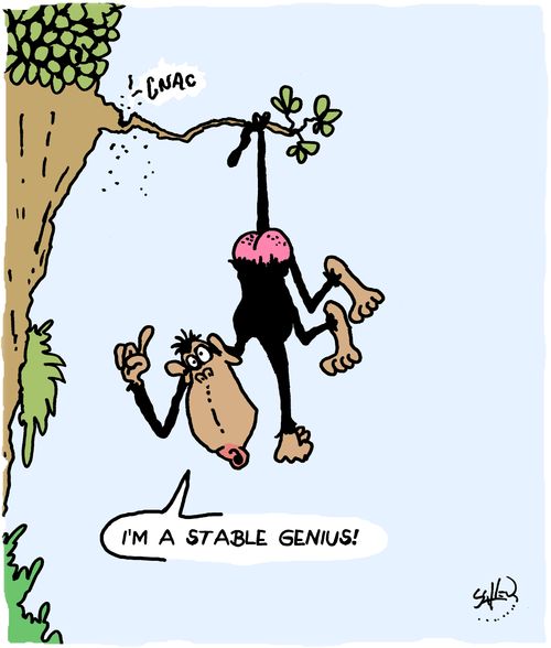 "I'm a stable genius!"