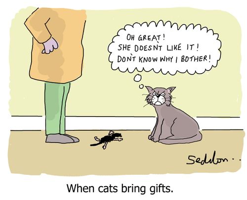 When cats bring gifts.