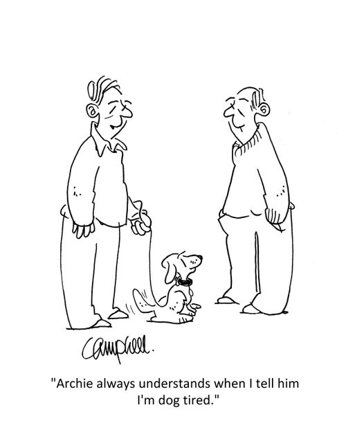 "Archie always understands when I tell him I'm dog tired."