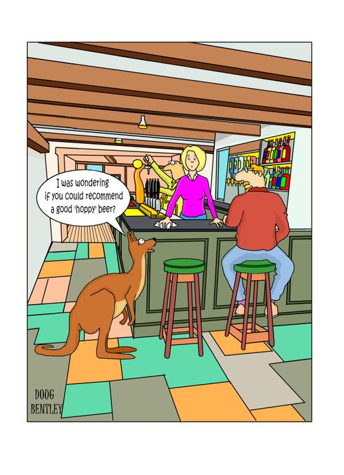 "I was wondering if you could recommend a good 'hoppy' beer?"