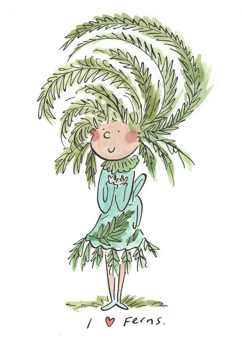 I love Ferns