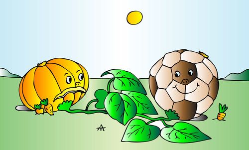 Football and Pumpkin