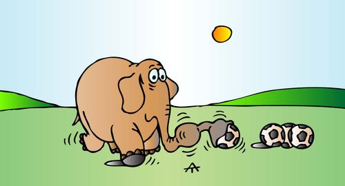 Football Elephant