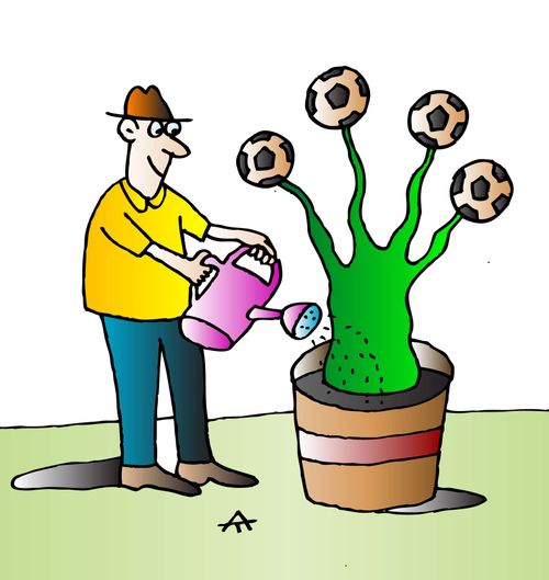 Football fan