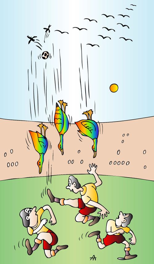 Geese Attacking Footballers