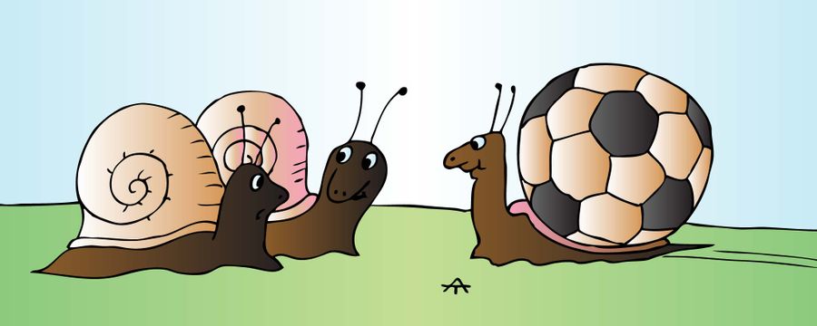 Football Snail