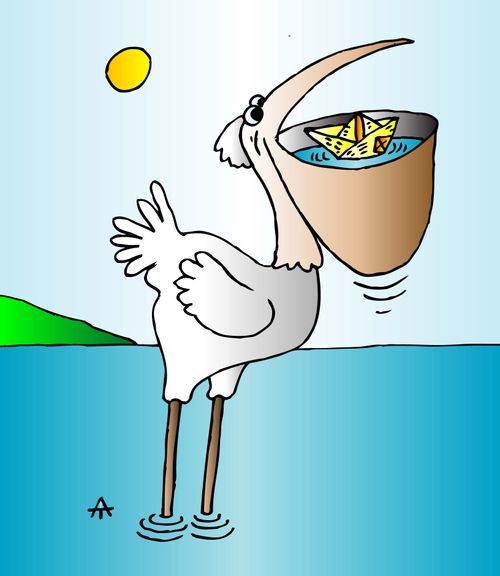 Pelican and Origami