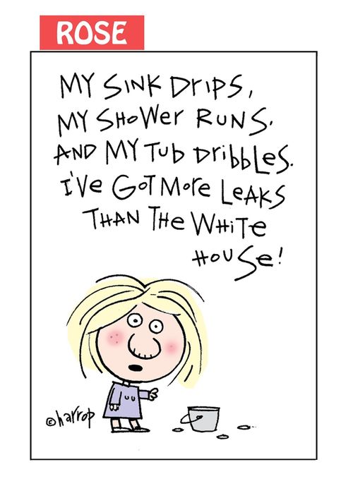 "My sink drips, my shower runs. And my tub dribbles. I've got more leaks than the White House!"