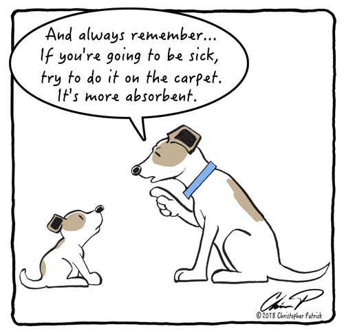 "And always remember...If you're going to be sick, always do it on the carpet. It's more absorbent."