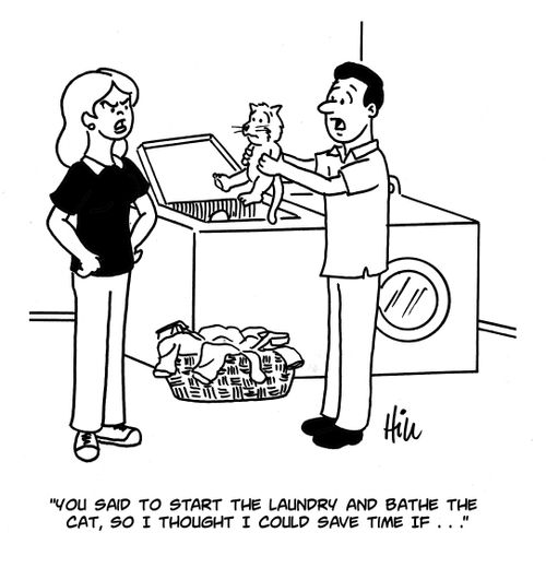"You said to start the laundry and bathe the cat, so I thought I could save time if..."