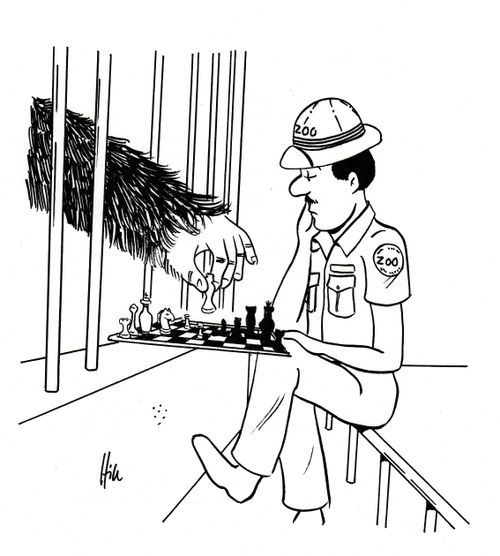 Chess With Gorilla