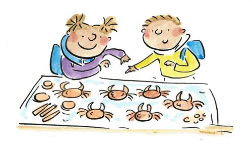 Crabs