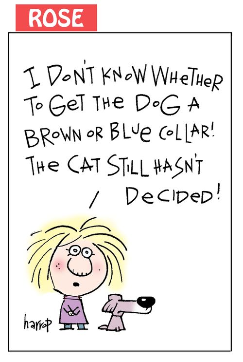 "I don't know whether to get the dog a brown or blue collar! The cat still hasn't decided!"