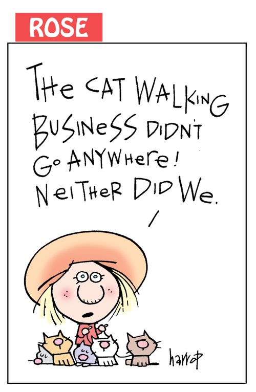 "The cat walking business didn't go anywhere! Neither did we."