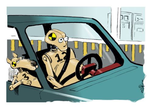 A crash dummy rides with a crash test dog.