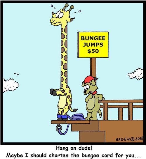 "Hang on dude! Maybe I should shorten the bungee cord for you..."