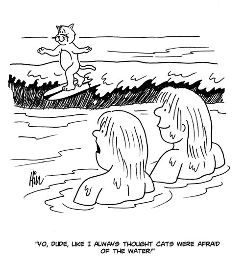 "Yo, dude, like I always thought cats were afraid of the water!"