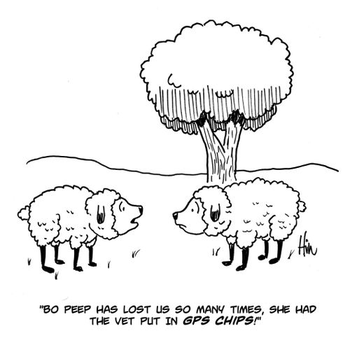 "Bo Peep has lost us so many times, she had the vet put in GPS chips!"