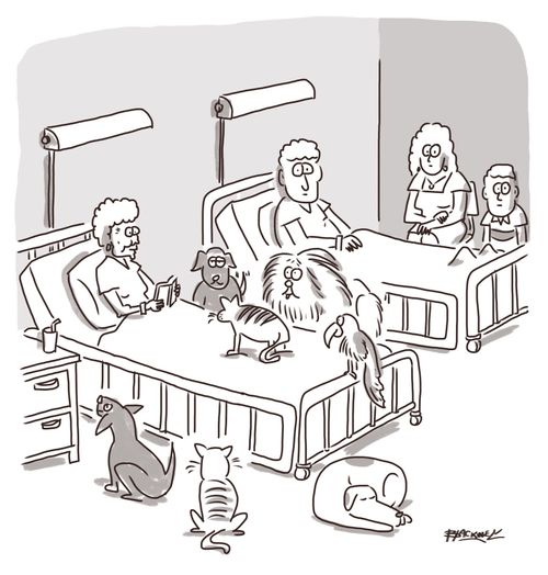 Elderly woman's pets visit her in hospital 
