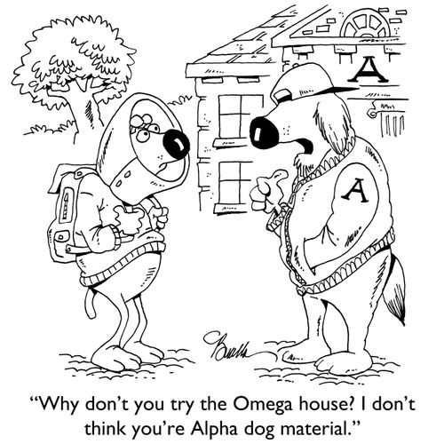 "Why don't you try the Omega house? I don't think you're Alpha dog material."