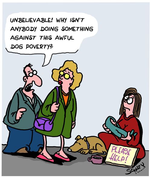 "Unbelievable! Why isn't anybody doing something against the awful dog poverty?"
