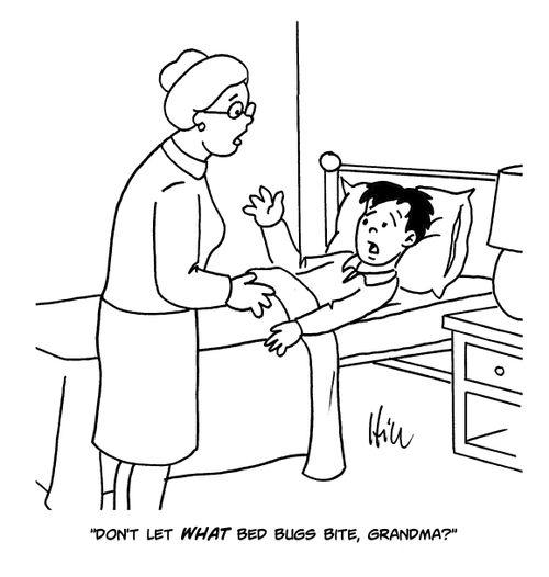 "Don't let what bed bugs bite, grandma?"