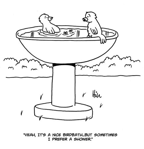 "Yeah, it's a nice birdbath...but sometimes I prefer a shower."