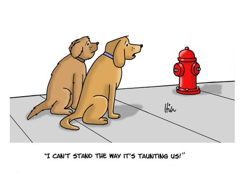 "I can't stand the way it's taunting us!"