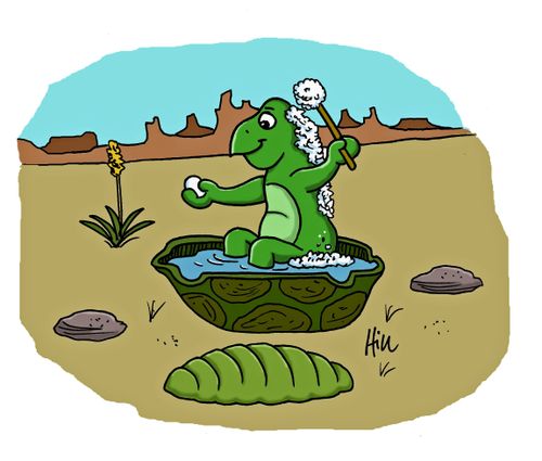 A turtle takes a bath.