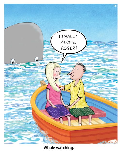 Whale watching.