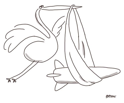 Stork delivers a bomb.