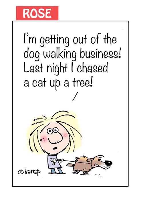 "I'm getting out of the dog walking business! Last night I chased a cat up a tree!"
