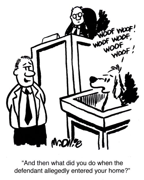 "And then what did you do when the defendant entered your home?"