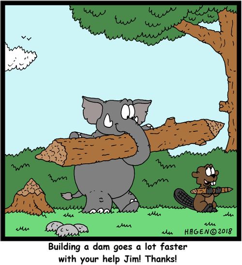 "Building a dam goes a lot faster with your help Jim! Thanks!"