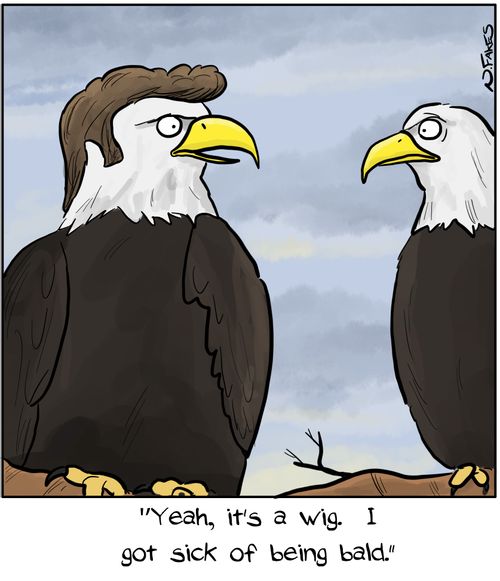 "Yeah, it's a wig. I got sick of being bald."