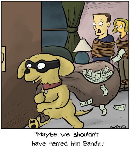 "Maybe we shouldn't have named him Bandit."