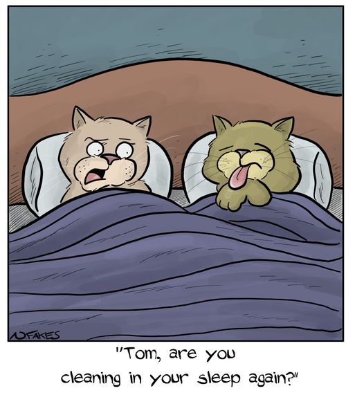 "Tom, are you cleaning in your sleep again?"