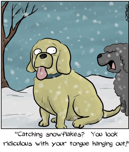 "Catching snowflakes? You look ridiculous with your tongue hanging out!"