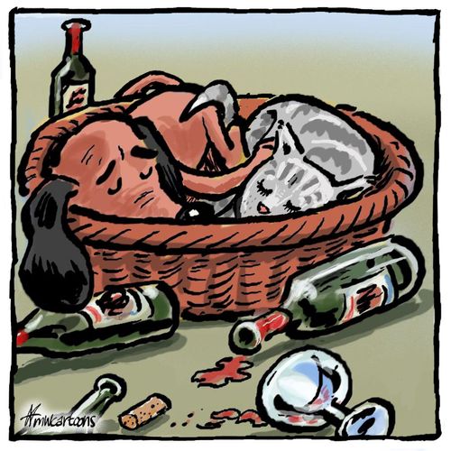 Party hangover