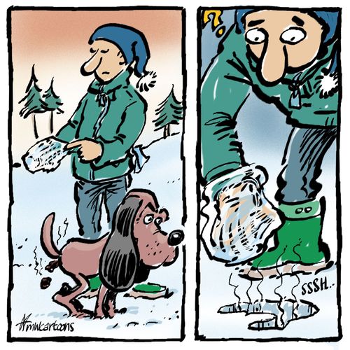 Dog Poop in the Snow