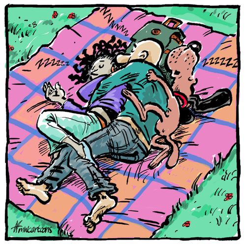 After the picnic