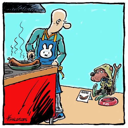 The begging dog
