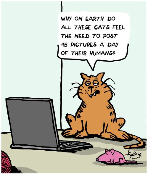 "Why on earth do all these cats feel the need to post 15 pictures a day of their humans?"