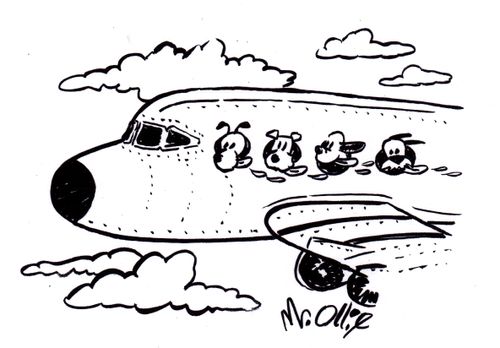 Dogs hanging heads out of airplane.