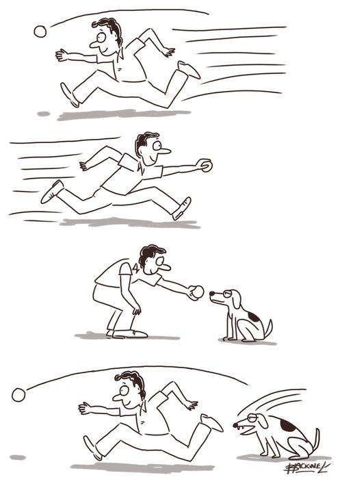 Dog playing fetch